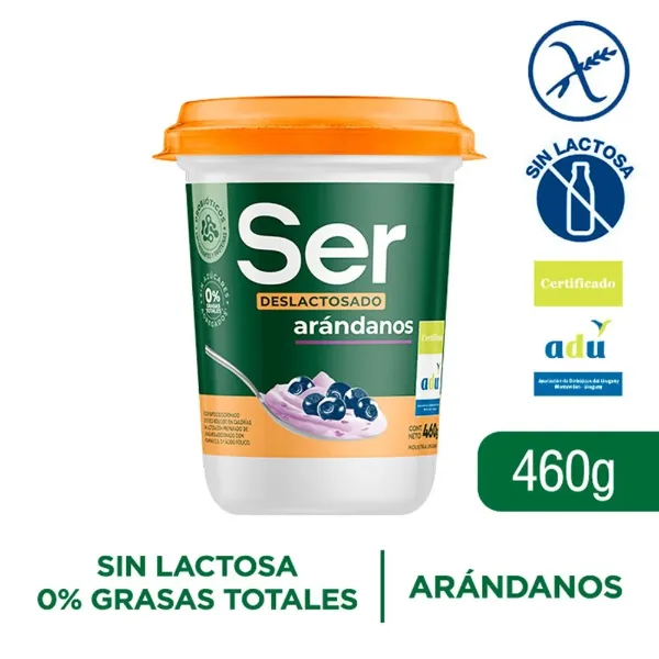 Yogur Ser Deslactosado Arandanos 460 g