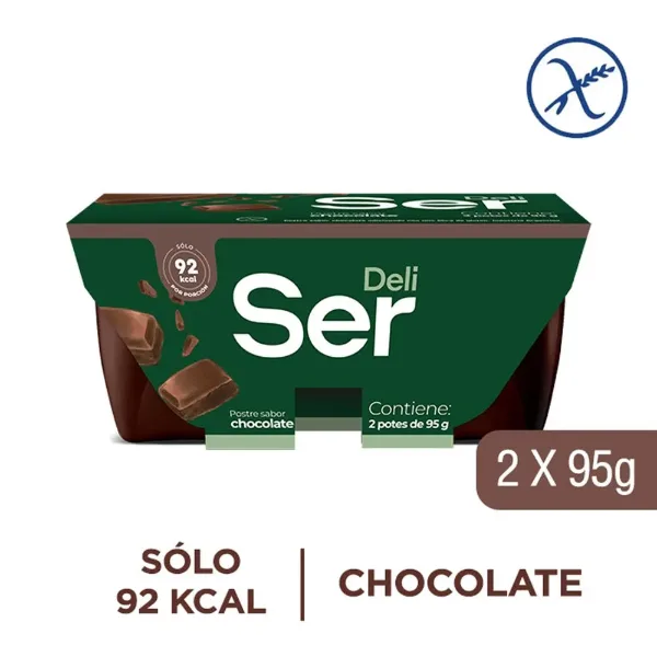 Postre Ser Chocolate 100gr 2 un.