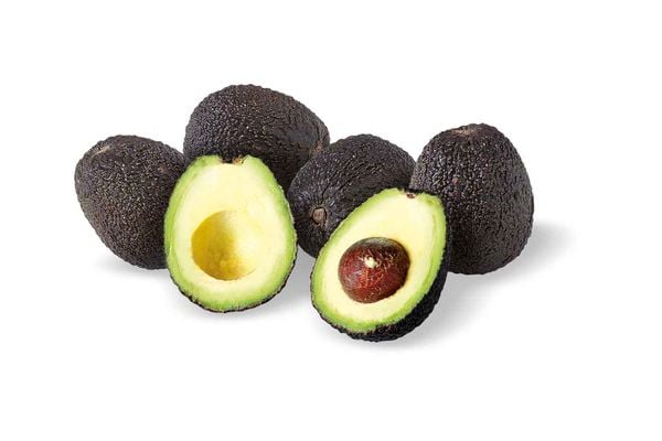 Palta Hass 1 unidad