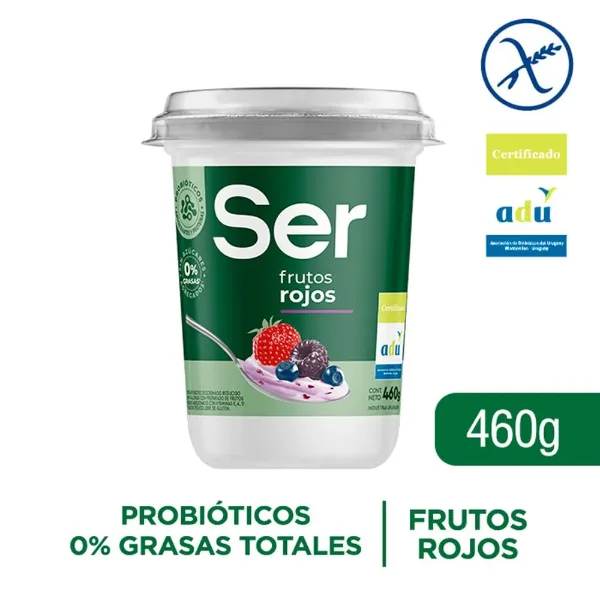 Yogur Ser Big Frutos Rojos Pote 460 g